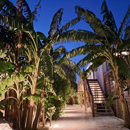 The Forest - Saint Martin 4 Etoiles Cul de Sac Luaran gambar