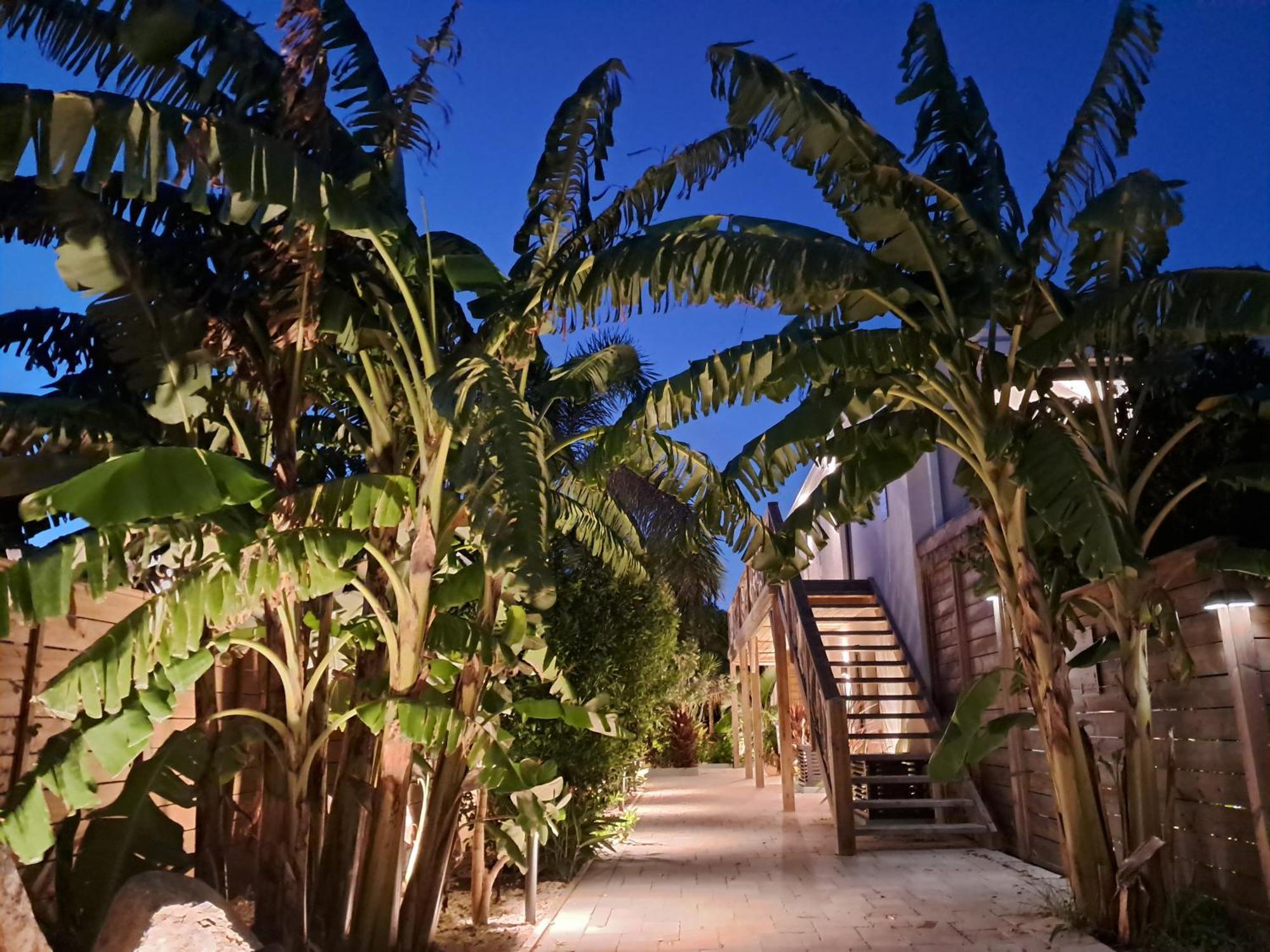 The Forest - Saint Martin 4 Etoiles Cul de Sac Luaran gambar